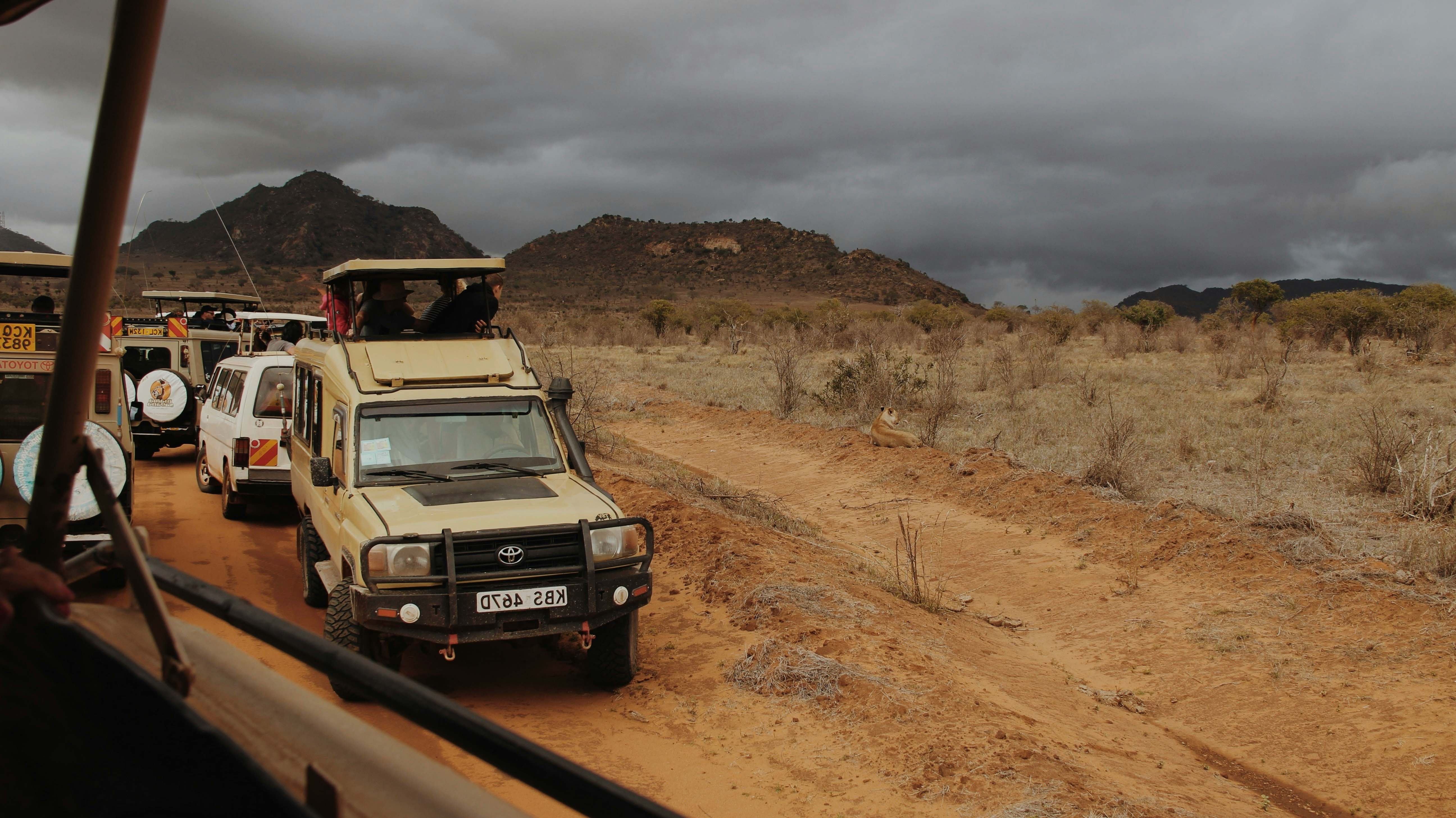 Lake Manyara National Park wildlife