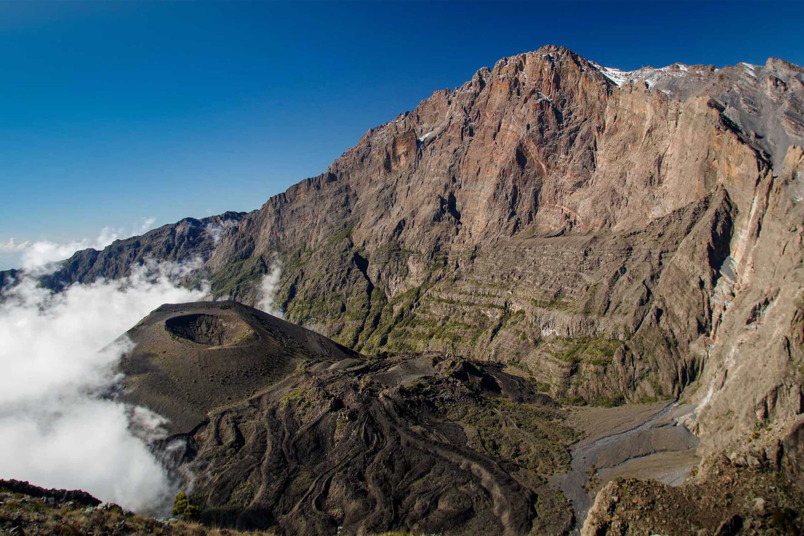 Mount Meru wildlife