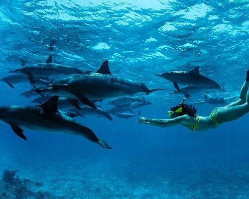Mnemba Island Zanzibar