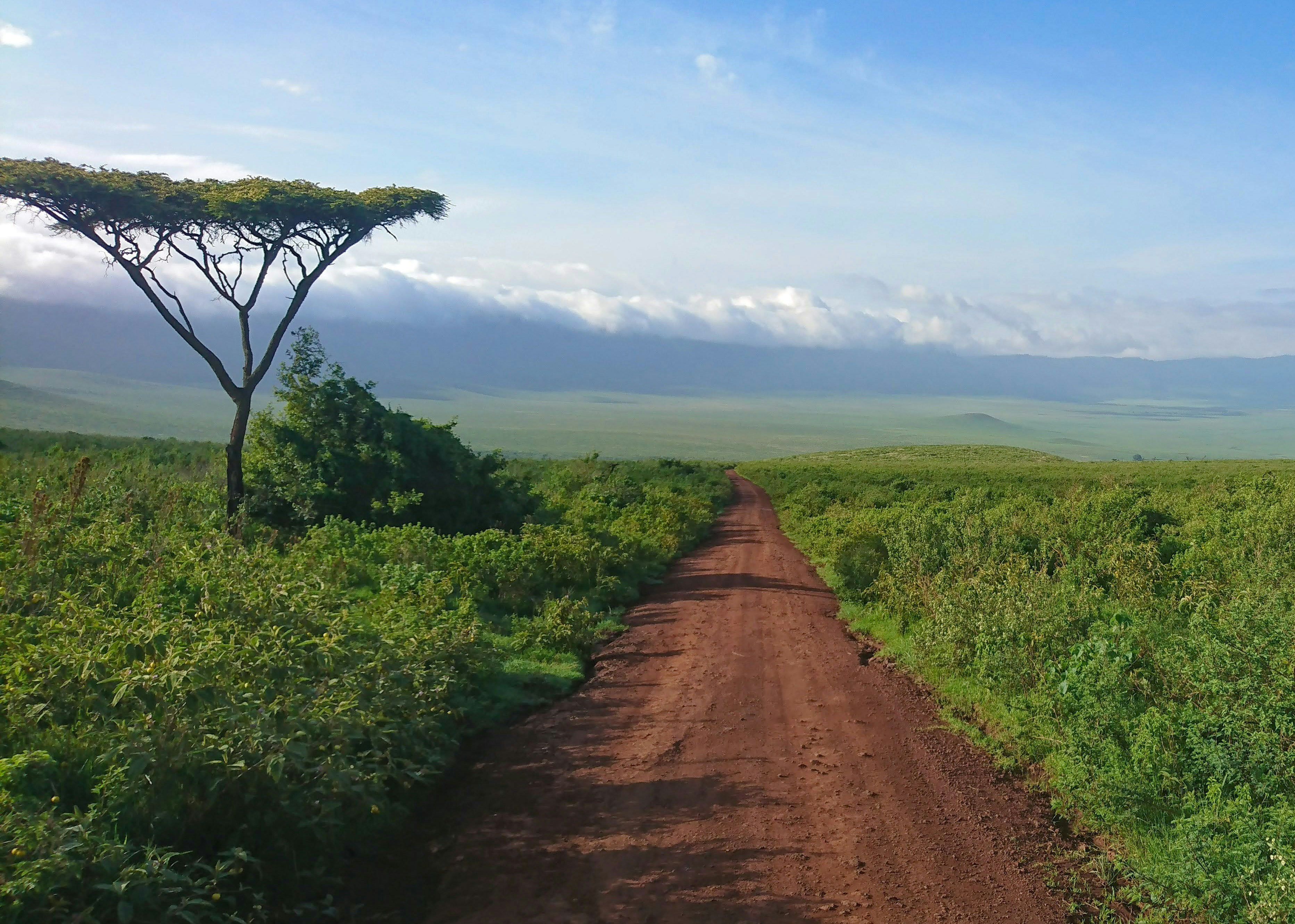 Olduvai Gorge landscape