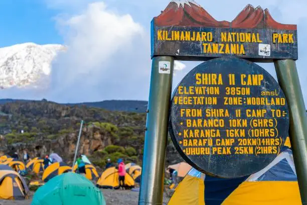 Shira Camp Mount Kilimanjaro